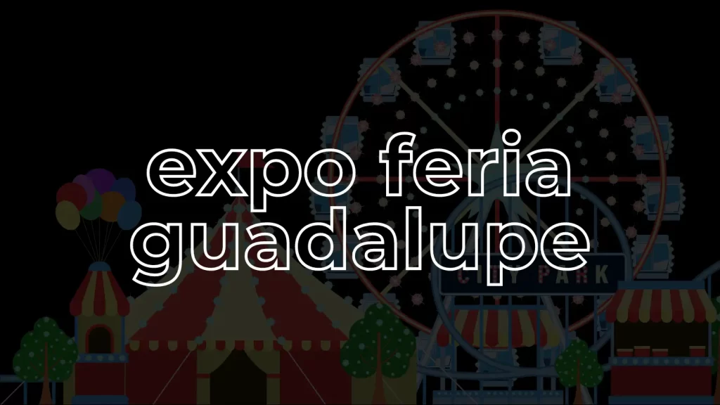 BANNER EXPO FERIA GUADALUPE